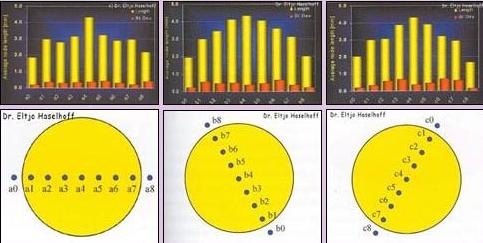 [Crop+Circle+Diagram.JPG]