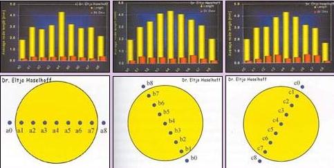 [Crop+Circle+Diagram.JPG]