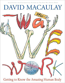 Book Cover Art for The Way We Work by David Macaulay