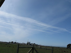 Contrails over pg&e plant