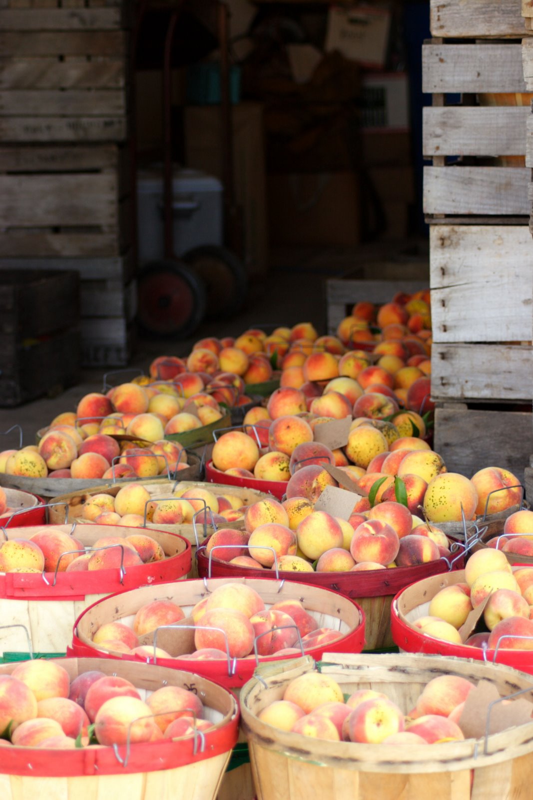 [GrissomPeaches02.JPG]