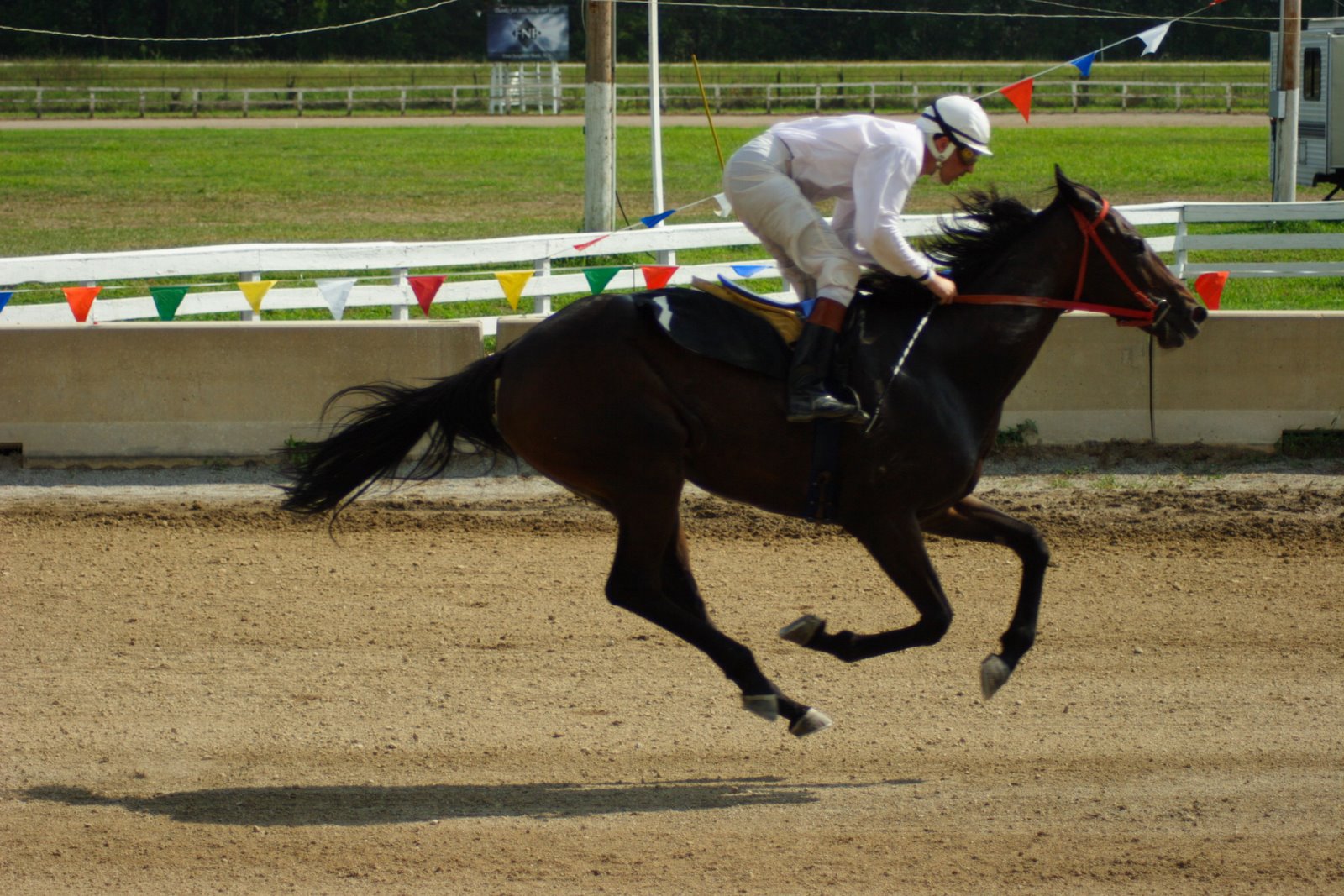 [FairSatRaces28.JPG]