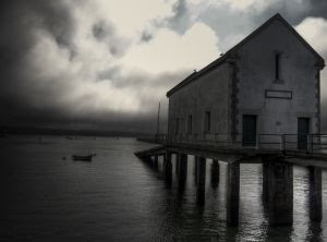 Foto de Dimitri Castrique,Bélgica