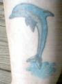 dolphin tattoo on leg