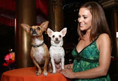 Alyssa Milano With Beverly Hills Chihuahua's