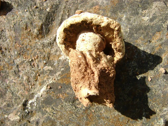[DSC00795.JPG]