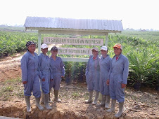 Praktek Kerja Industri