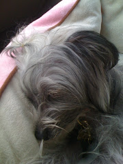 Sleeping Princess