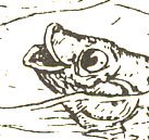 [fish-lear.jpeg]