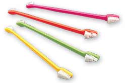 Can You Use A Human Toothbrush On A Dog Can You Use A Human Toothbrush On A Dog