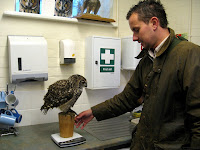 Weighing a bird at Leeds Castle