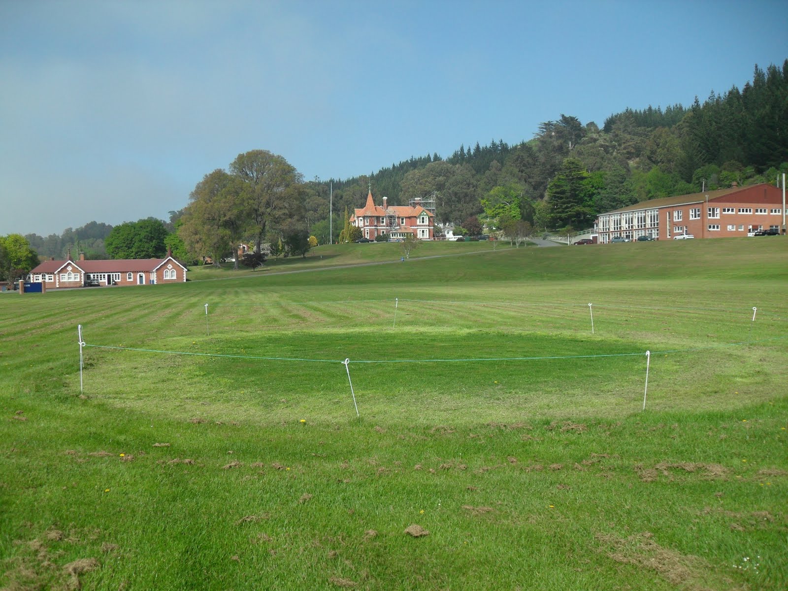 Cricket Pitch Picture