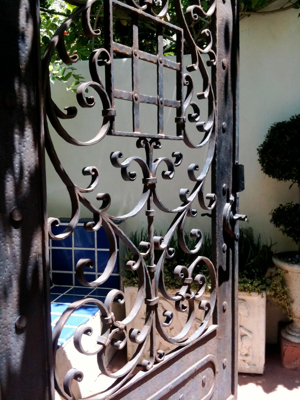 | Sustainable Seedlings grown in San Diego, CA | Page 5