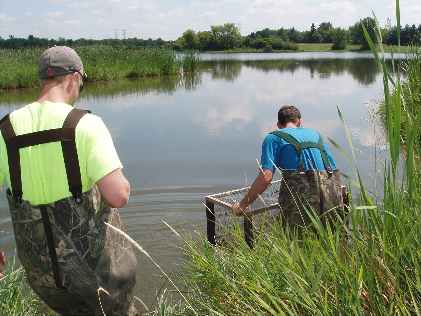 Fermilab Natural Areas Turtles in the Land of Accelerators