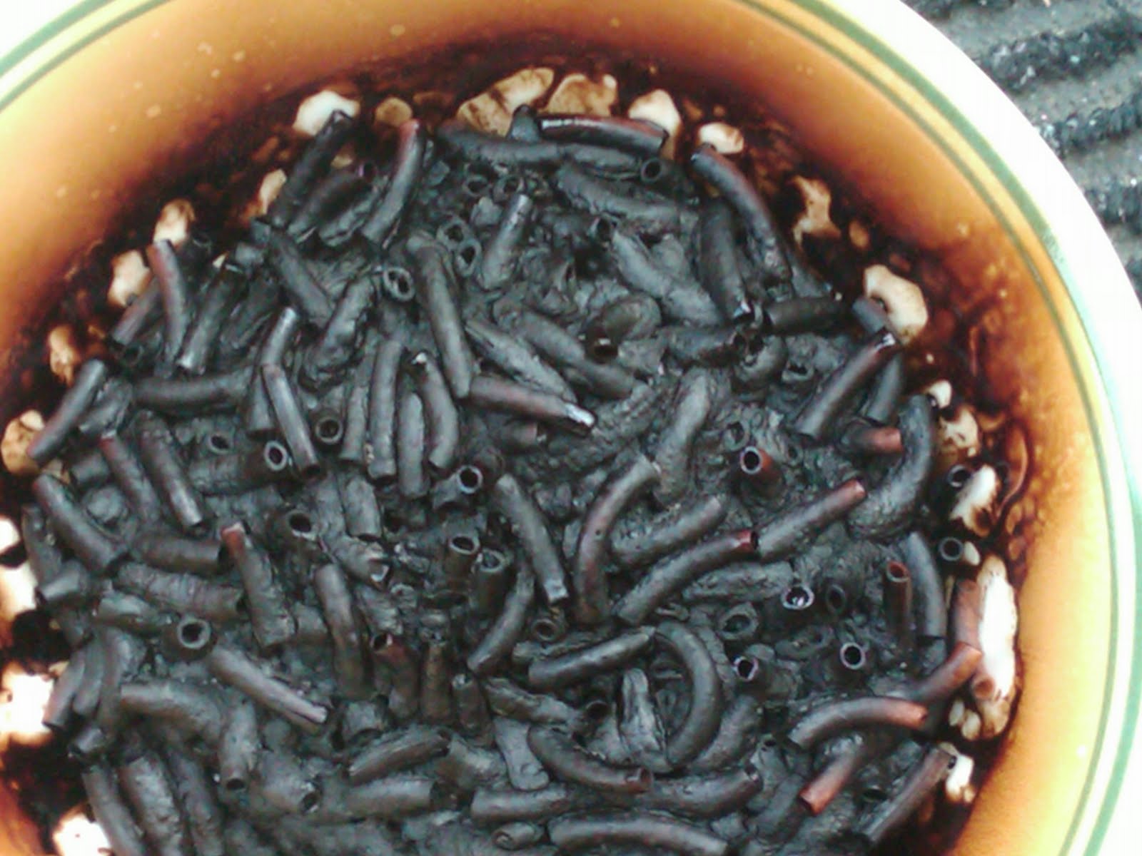 Barrie Summy May 2010