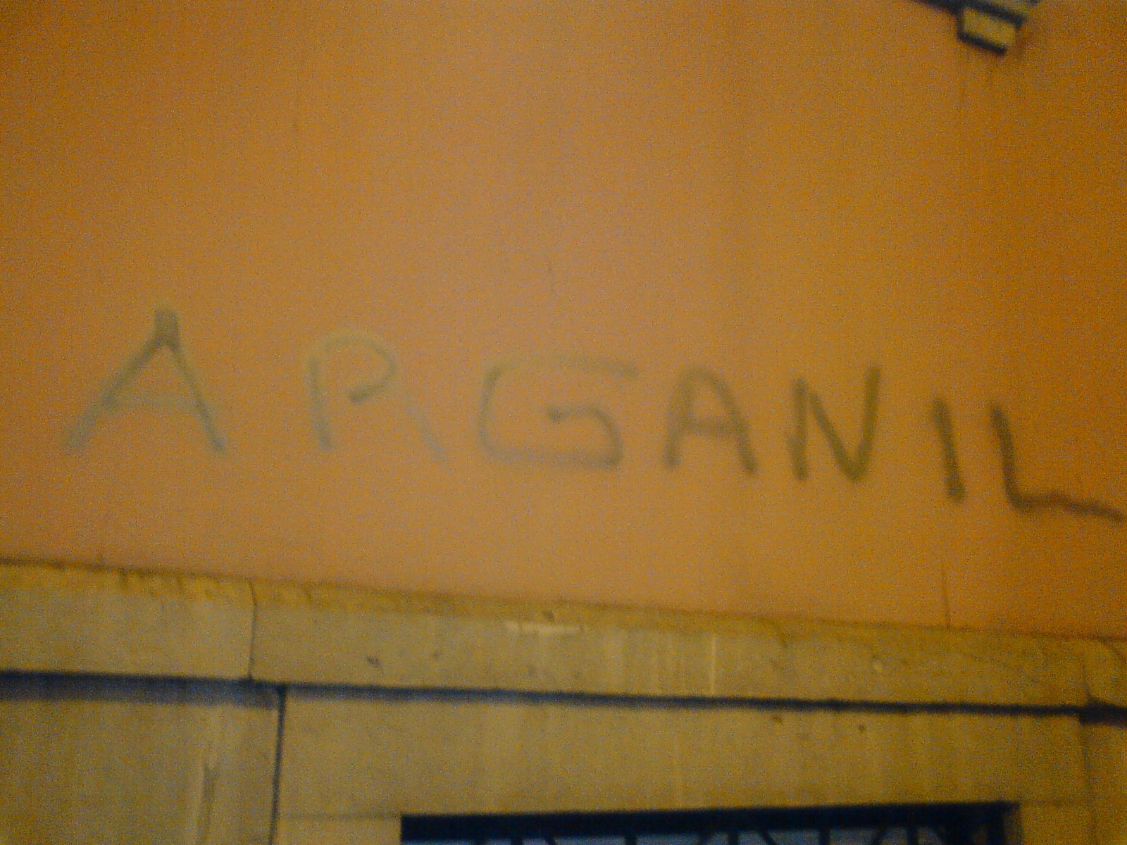 [argan.JPG]