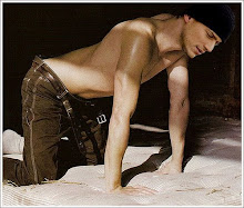 Wentworth Miller