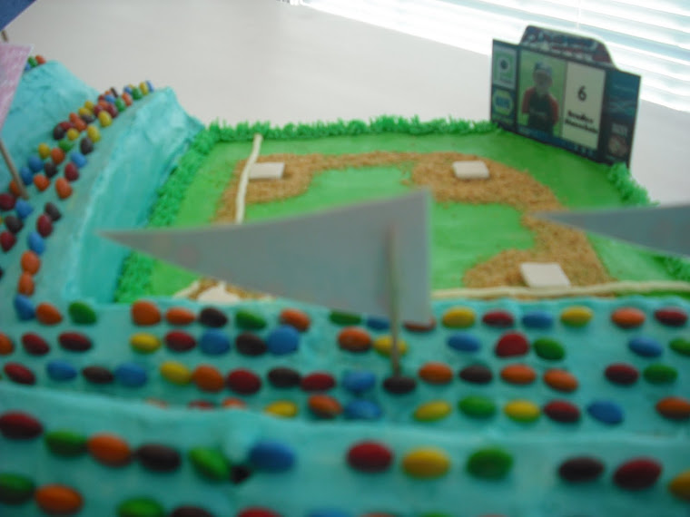 Baseball Field Cake2