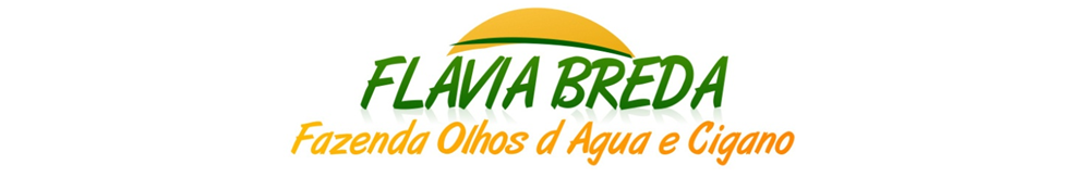 FLAVIA BREDA - Fazenda Olhos d`Água e Cigano