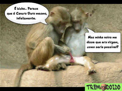 #### REVELATIONS MOD [ON] #### - Página 9 Macaco+Doente+-+Trem+Doido