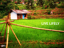 LIVE LIFELY