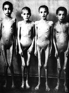 mengele victims