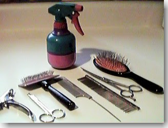 basic grooming supplies