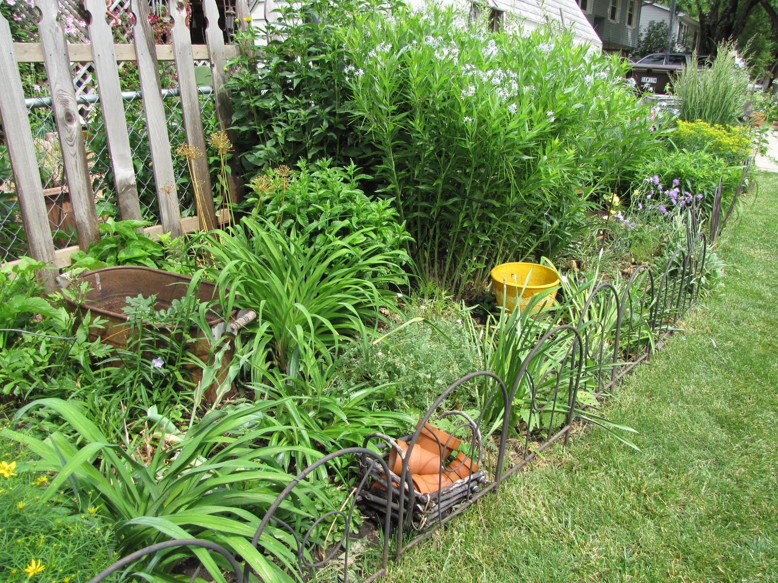 A Corner Garden: Would you Rather See Flowers than Weeds?