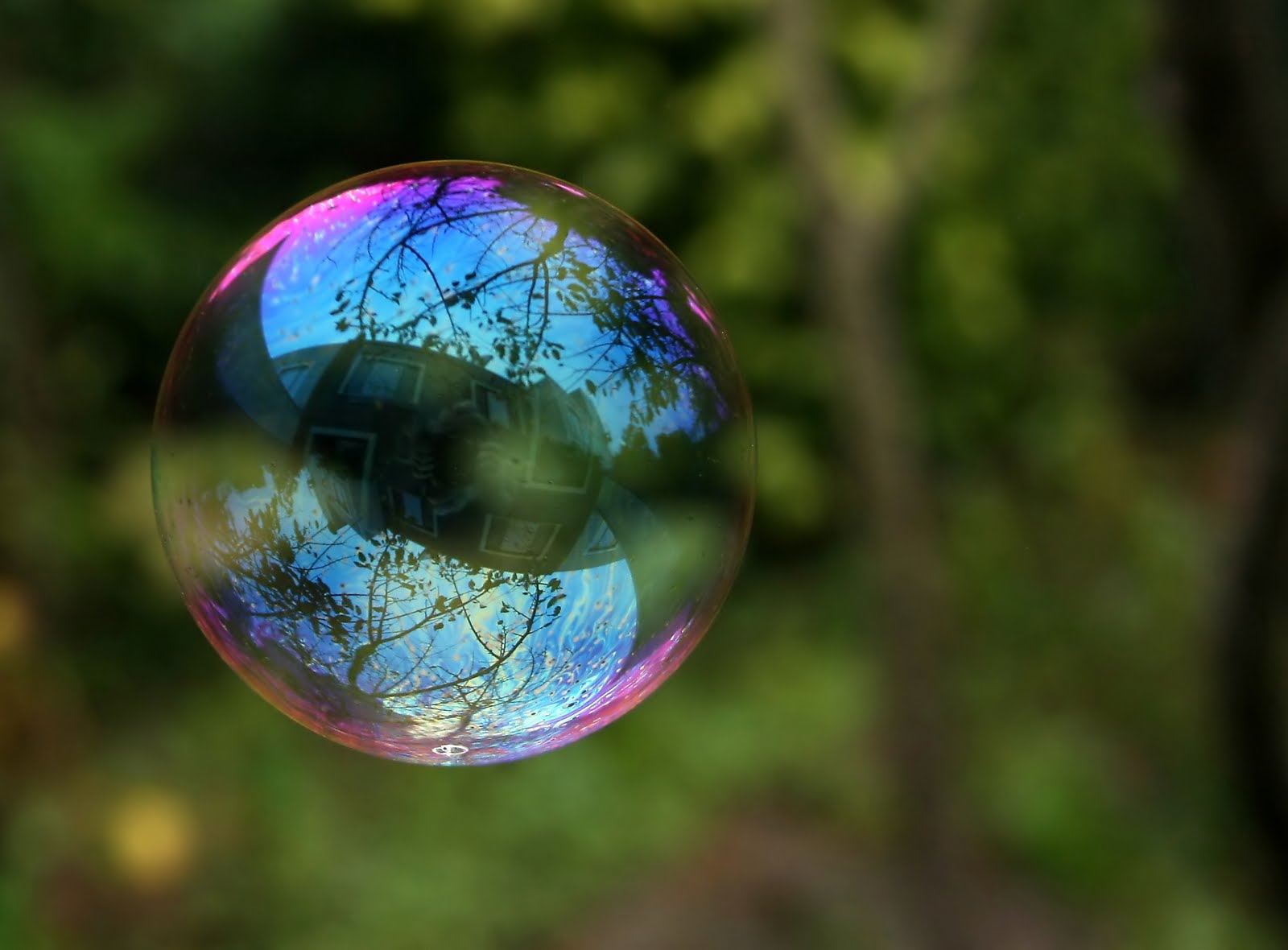 [reflection_in_a_soap_bubble_edit.jpg]