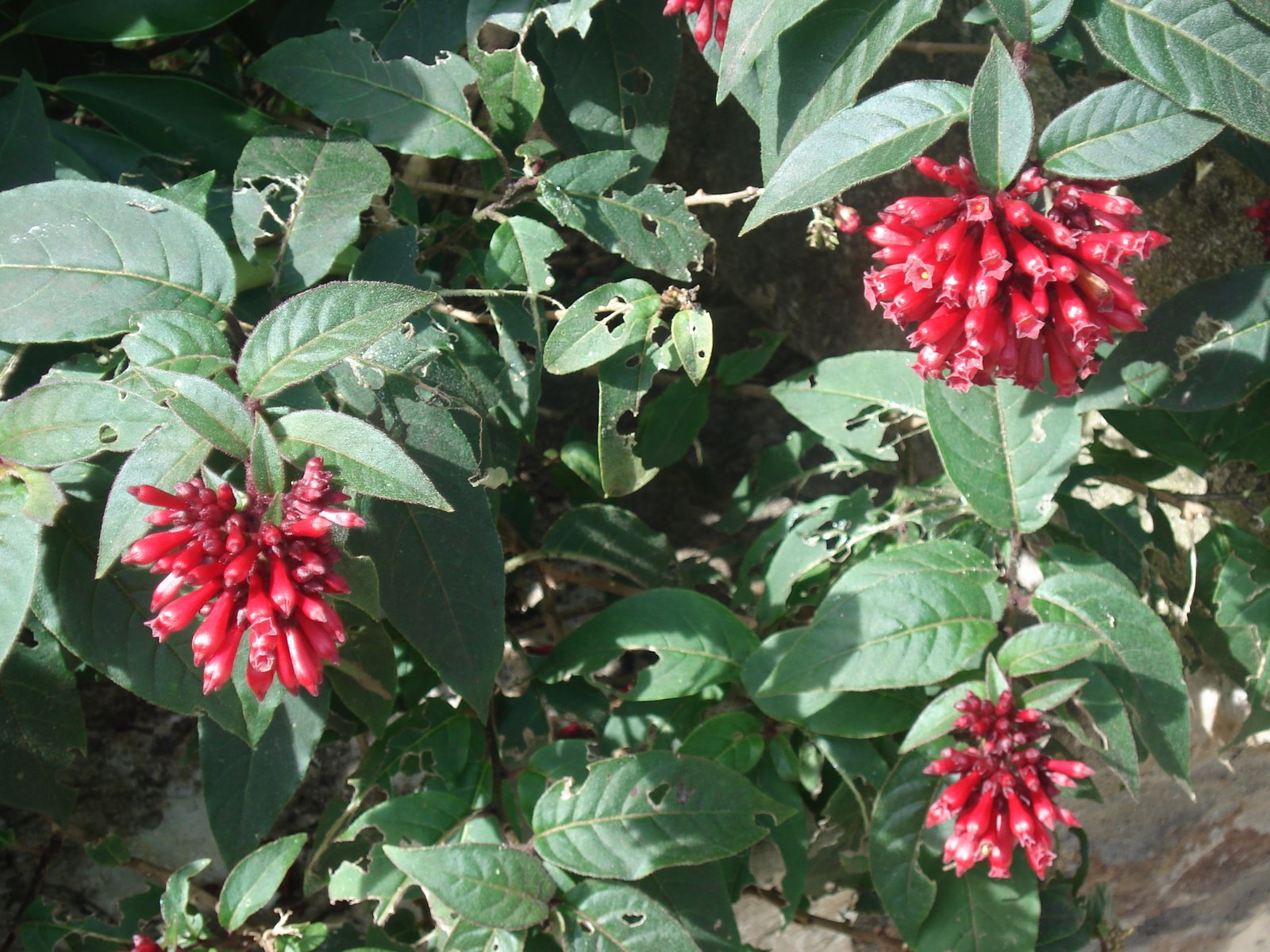 [DSC01998.JPG]