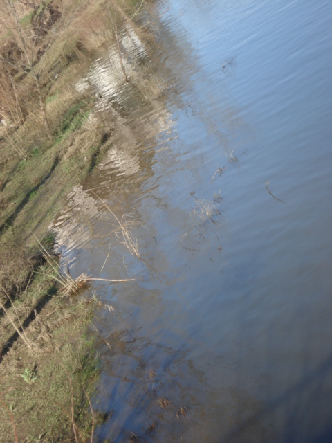 [DSC02037.JPG]