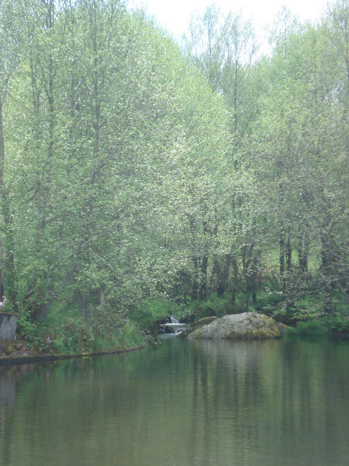 [DSC05042.JPG]