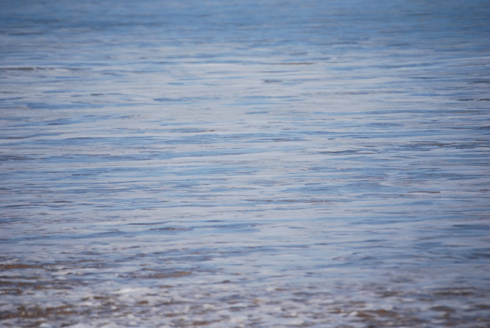[DSC_0052.JPG]