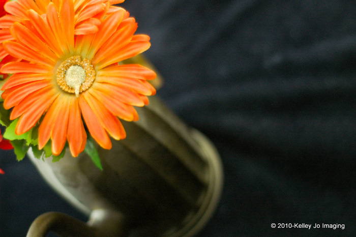 [02.08.10_KJK_0009.jpg]