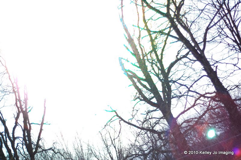 [02.12.10_KJK_0044.jpg]