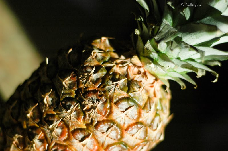 [02.26.10_KJK_0010.jpg]