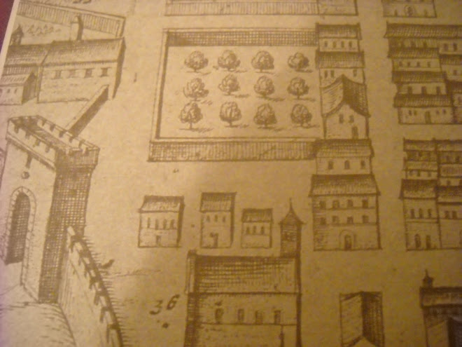 CARTA DI PIO FONTICULANO 1575