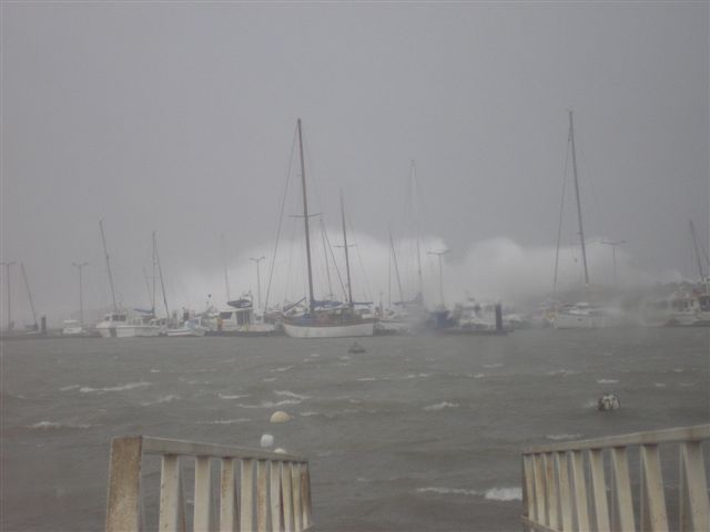 [Temporal24-11-06(7).JPG]