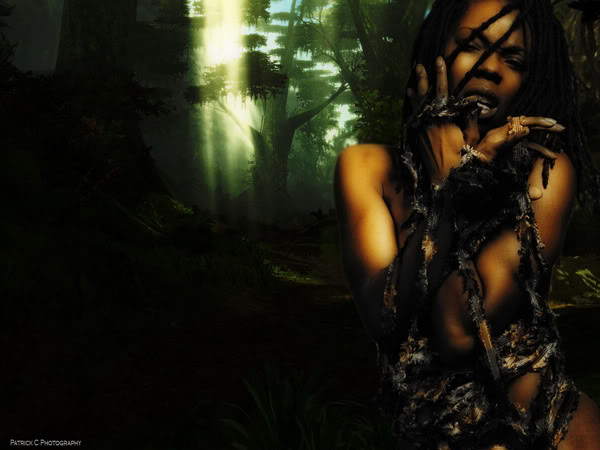 [charlisha-graphic.jpg]