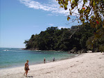 The beach at Manuel Antonio
