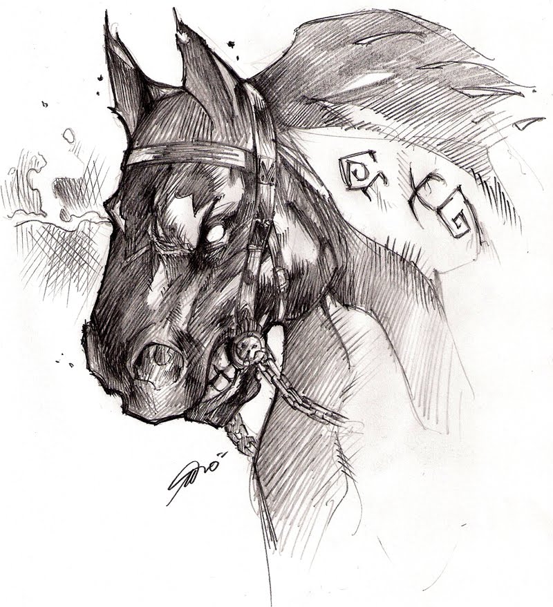 [cavallo.jpg]