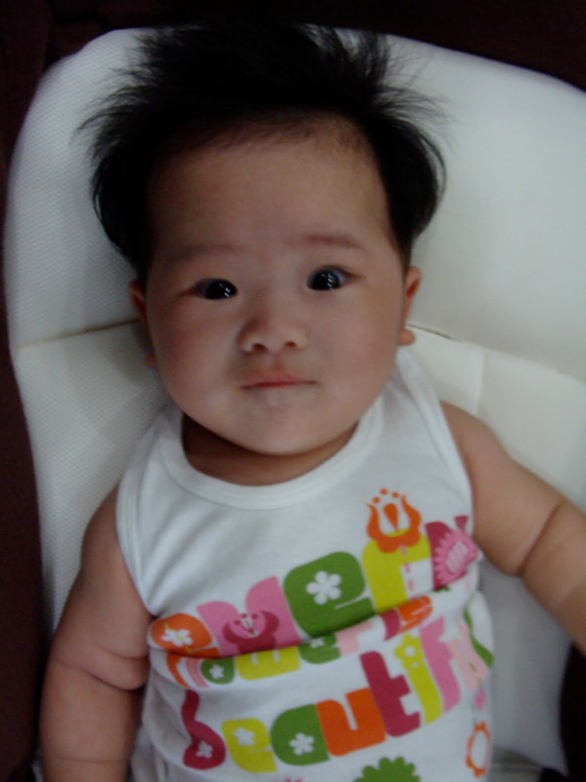 [DSC01729.JPG]
