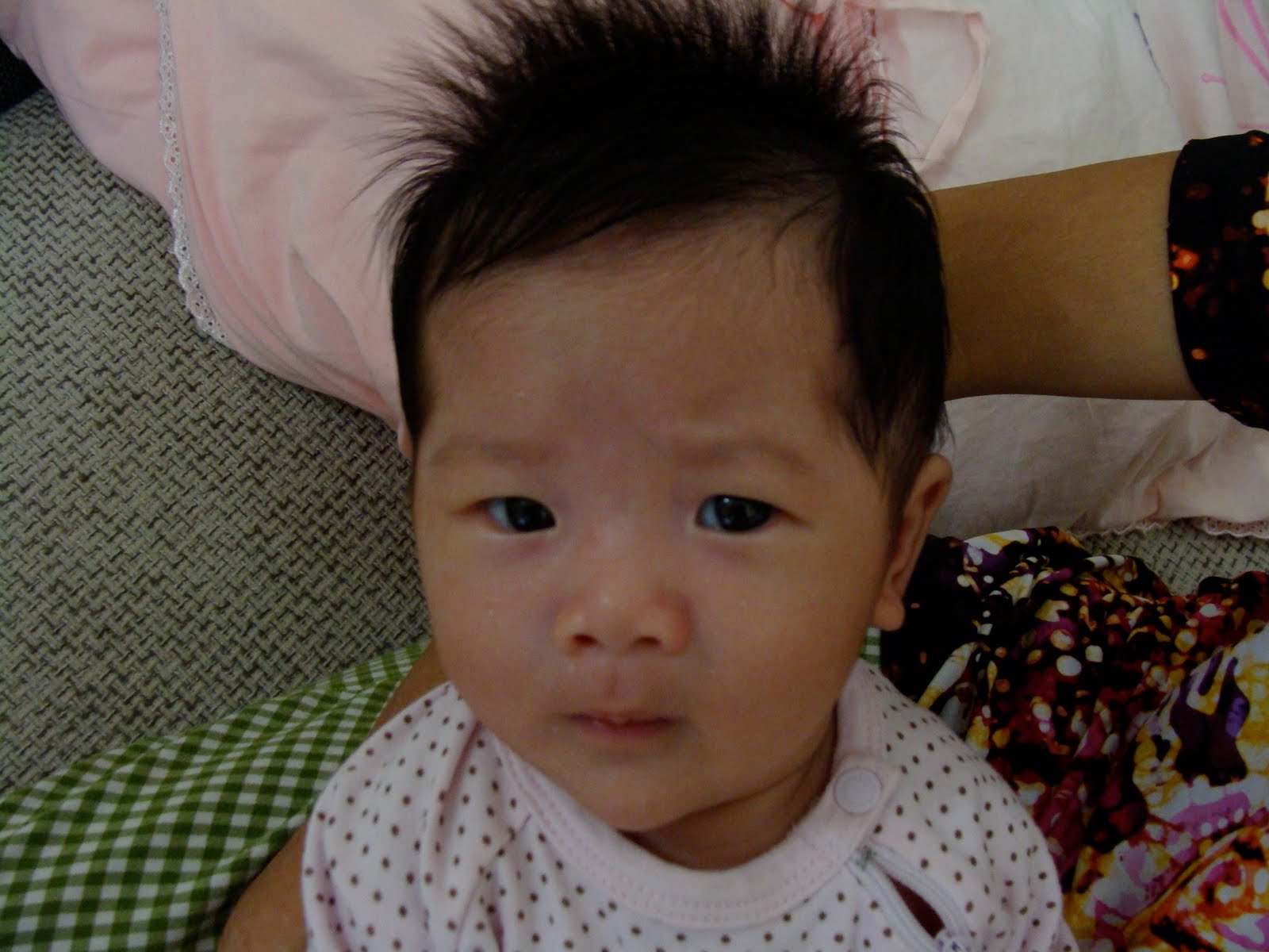 [DSC01426.JPG]