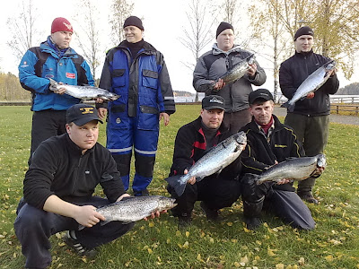 ensisuudelma