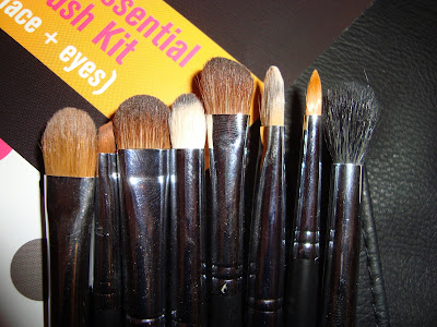 Sigma Makeup Brushes