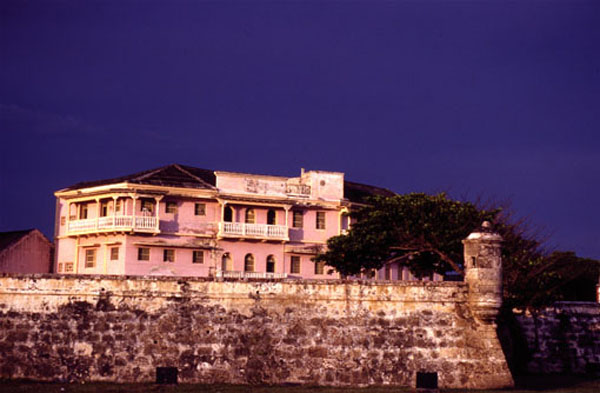 [cartagenarosa.jpg]