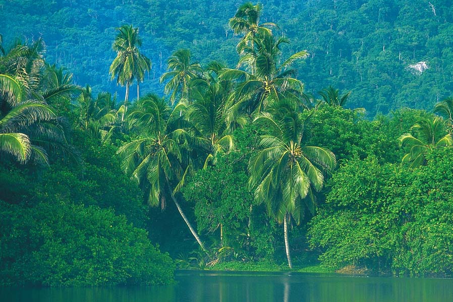 [PARQUE+TAYRONA.jpg]