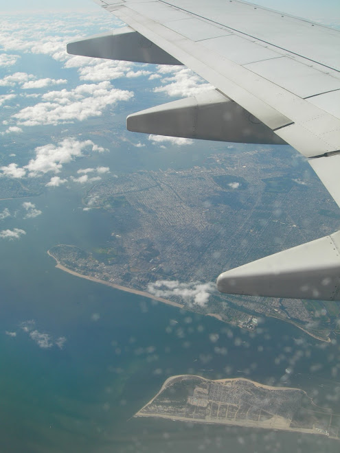View from airplane behind left wing