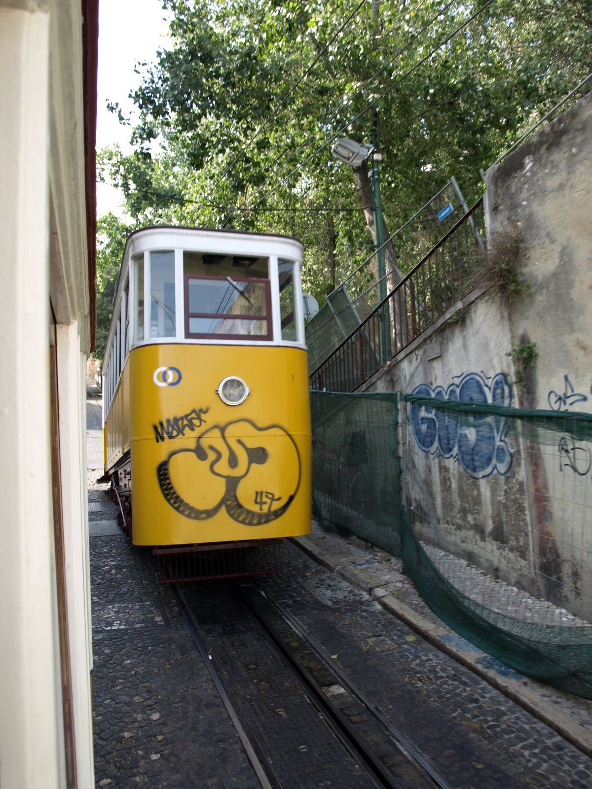 [P8284583.JPG]