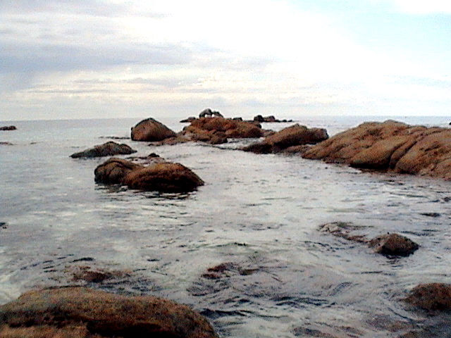 [DSC01626.JPG]